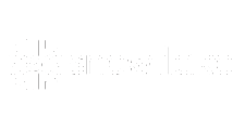 Snowflake Partner