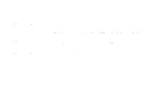 Python Language Partner