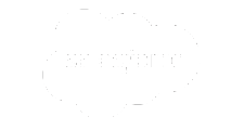 Salesforce Partner